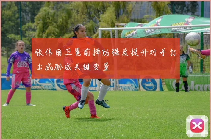 张伟丽卫冕前摔防强度提升对手打击威胁成关键变量